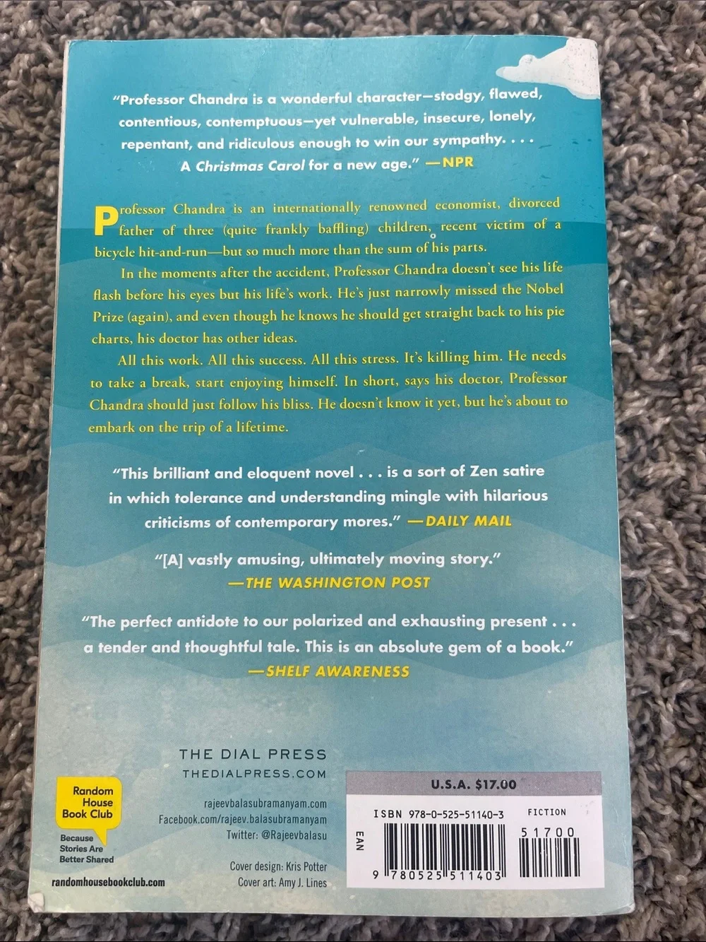 Book: professor Chandra follows his Bliss by Rajeev Balasubramanyam